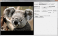 Screenshot of Viscomsoft .Net Video Capture SDK 1.09
