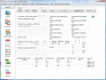 Screenshot of Form 1099 S Real Estate Software 2011