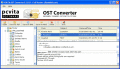 Screenshot of Convert OST to Outlook 2003 5.5