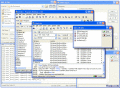 Screenshot of Raxso Enterprise 5.0