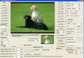 Screenshot of VISCOM TIFF Viewer ActiveX SDK 11.07