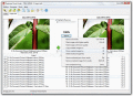 Screenshot of Duplicate Photo Finder 3.0.0.9