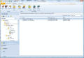 Screenshot of Chrysanth WebStory 3.9