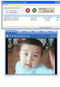 Screenshot of Supertintin MSN Webcam Recorder 1.2.0.3