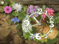 Screenshot of Flowers Clock ScreenSaver 1.1