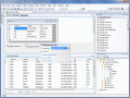 Screenshot of DotConnect for PostgreSQL Express 6.70