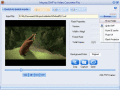 Screenshot of Moyea SWF to Video Converter Pro 3.11.0.0