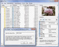 Screenshot of Batch Editing Plug-in for Exif Pilot 4.7.2