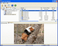 Screenshot of Easy File Undelete 3.0