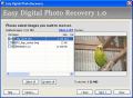 Screenshot of Easy Digital Photo Recovery 2.5