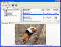 Screenshot of Easy NTFS Data Recovery 3.0