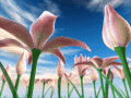 Скачайте заставку Луговые цветы 3D!