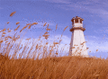 Screenshot of Lighthouse Gallery Screensaver 2.0