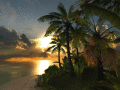 Изумительный Карибский пляж с пальмами