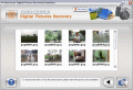 Screenshot of Digital Image Undelete Utility 3.0.1.5