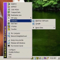 Screenshot of FlashTray 4.0