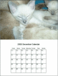 Screenshot of Calendars Software 9.0