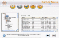 Screenshot of FAT Files Salvage Tool 3.0.1.5