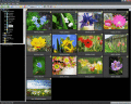 Screenshot of ACDSee Picture Frame Manager 1.0.77.0