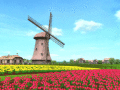 Screenshot of Free 3D Windmill Screensaver 1.0