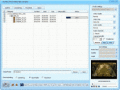 Screenshot of DDVideo DVD to Nokia Converter Gain 5.0