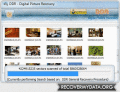 Screenshot of Photo Recovery Program 5.3.1.2