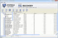 Screenshot of SQL Database File Repair 5.5