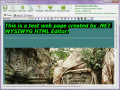 Screenshot of .NET WYSIWYG HTML Editor 2.0