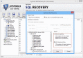Screenshot of Repair Master Database SQL Server 2008 5.3