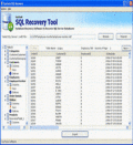 Screenshot of Extract Microsoft SQL 5.3