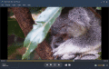 Screenshot of Aiseesoft Blu-ray Player 6.7.36