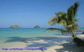 Screenshot of Hawaii Vacation Packages 1.0