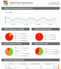 Screenshot of SEO Reporting Software 1.0