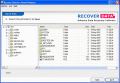Screenshot of Software For Novell Recovery 1.1