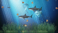Screenshot of Coral Reef Aquarium Animated Wallpaper 1.0