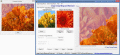 Screenshot of Image overlay merge and watermark Pro 2014.1.0.0