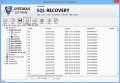 Screenshot of MS SQL Repair Tool 5.3 5.3