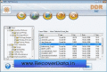 Fat Data Recovery Utilities restore picture