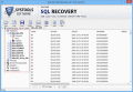 Screenshot of SQL Data Recovery 5.3