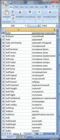Screenshot of Dictionary Wordlist English Russian 1.5