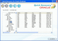Screenshot of Professional ORACLE Recovery Software 2.0.0