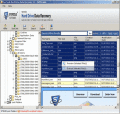 Screenshot of Restore Deleted NTFS Drive Data 3.3