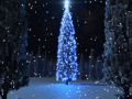 Screenshot of Holiday Tree Screensaver 1.0