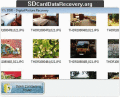 Pictures Recovery tool regains holiday image