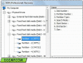 Screenshot of Professional Files Recovery Software 4.0.1.6
