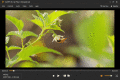 Screenshot of AnyMP4 Blu-ray Player 6.1.72