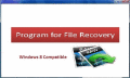 Screenshot of Program for File Recovery 4.0.0.32