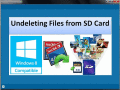 Screenshot of Undeleting Files from SD Card 4.0.0.32