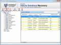 Screenshot of Advanced SQLite Database Recovery 1.2