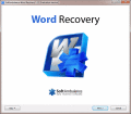 Screenshot of SoftAmbulance Word Recovery 1.35